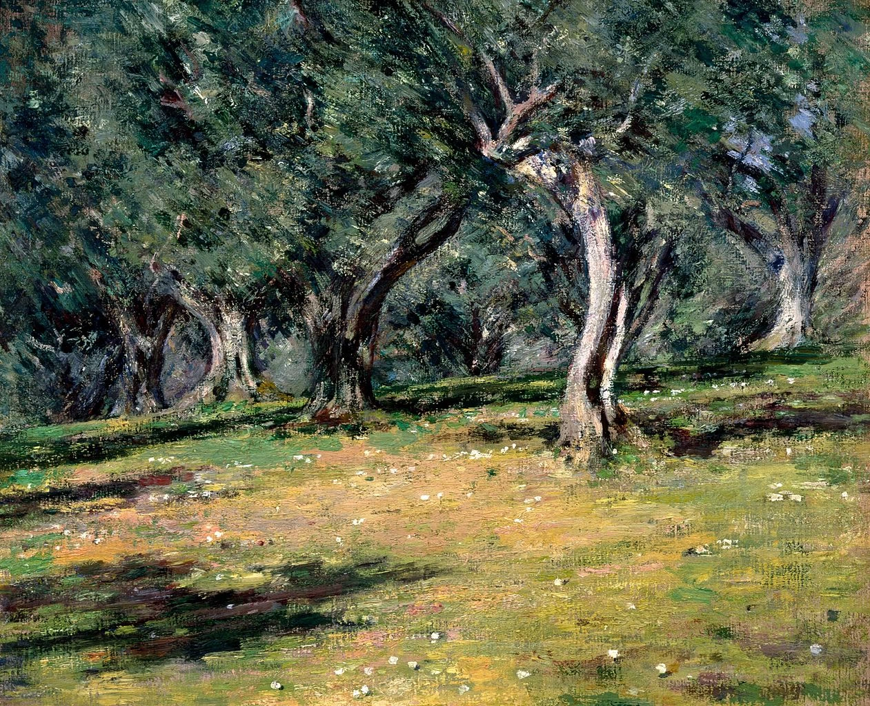 Uliveto a Capri - Colby College Museum of Art, Waterville